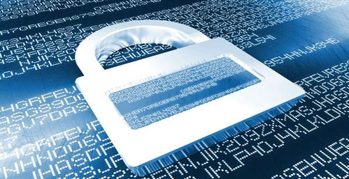 保护个人信息和财产安全的必备网络技术服务